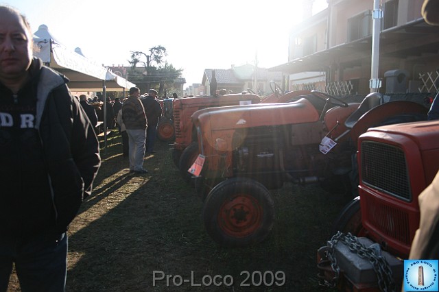 In prà della Antica Fiera di Arsego (20).JPG